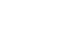 BS Fidelio